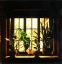 image/_window_1.jpg, 1,9K