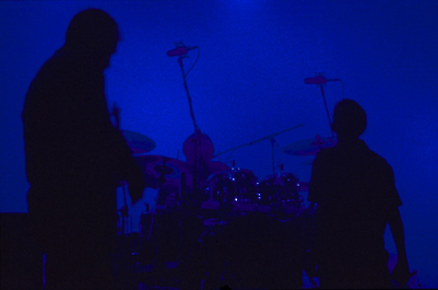 image/guanoapes3.jpg, 78,5K